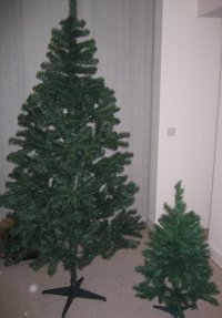 Christmas trees